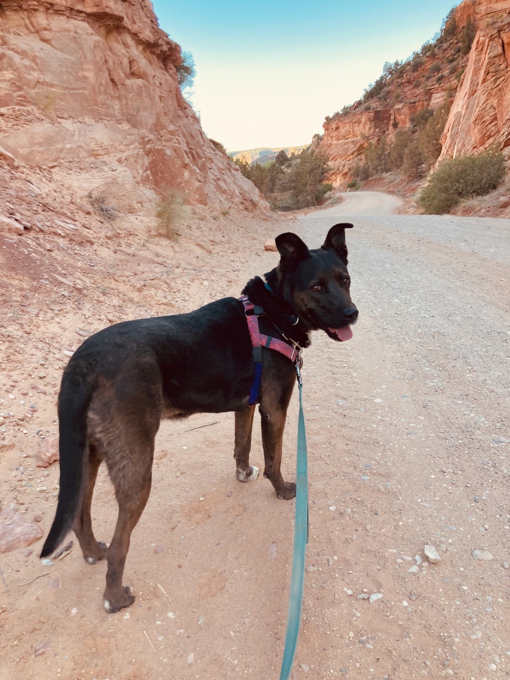 When Velda met&nbsp;Feebee