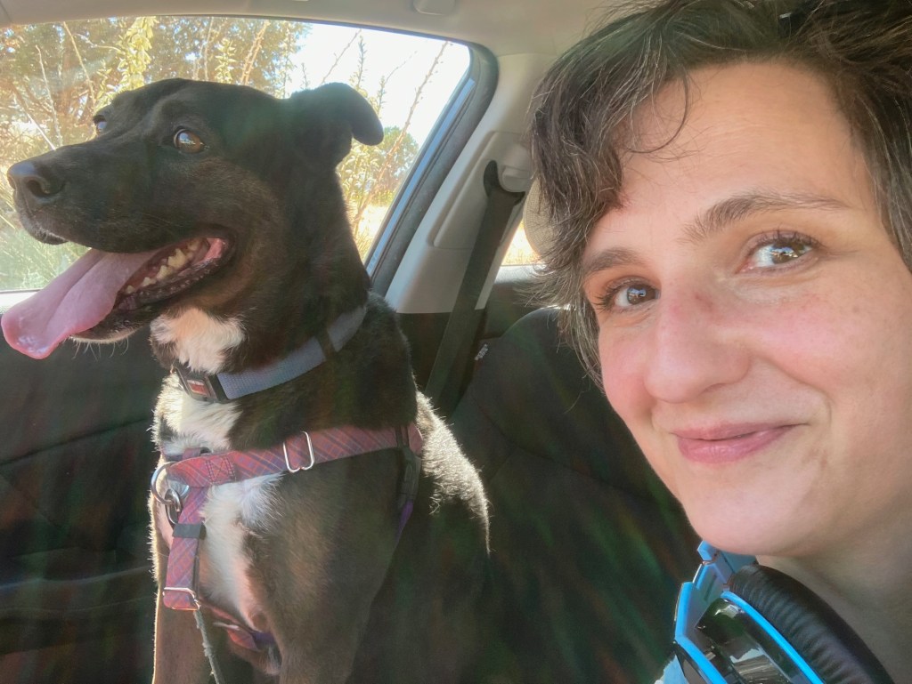 Feebee, a big reactive dog, sits in my front seat with a goofy smile. I'm hopeful, and taking a selfie of the two of us.