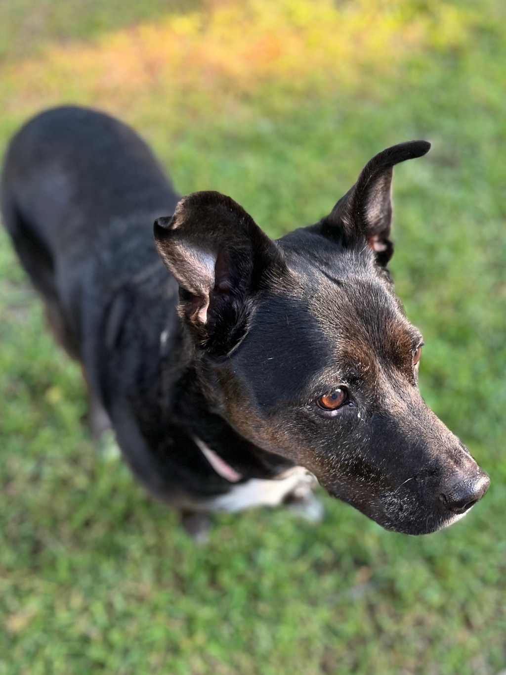 Two years with&nbsp;Feebee!