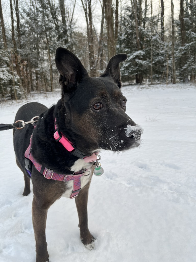 Feebee, it’s cold&nbsp;outside!